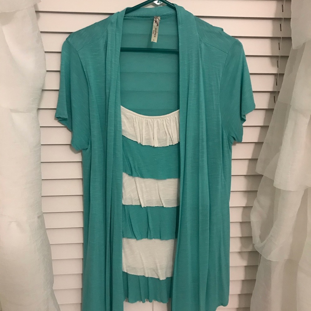 Aqua and blue stripped top